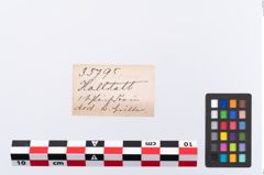 Etikett zu Schleifstein (NHMW-PRAE-035795)